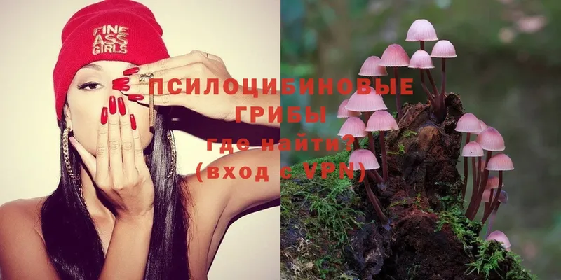 shop формула  Адыгейск  Галлюциногенные грибы MAGIC MUSHROOMS 